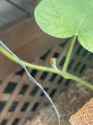 thumbnail_IMG_1599