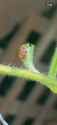 thumbnail_IMG_0479