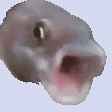 fish-omg