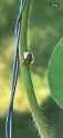 thumbnail_IMG_0480
