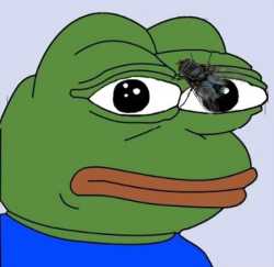 552_pepe_fly