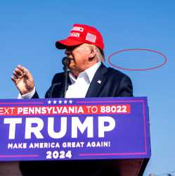 trumpbullet