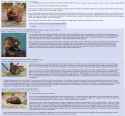 Language and its uses in Control and Free Will