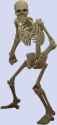 Skeleton_level_15