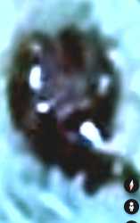 Screenshot_20250607_012441_Google Earth