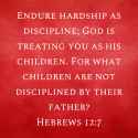 hardiseasy