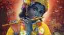 Krishna blackish