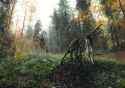 jakub-rozalski-morning-hunts