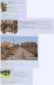 Boarder Zone Guard