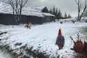 jakub-rozalski-competitors
