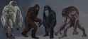 sam-loveday-sassysquatch-copy