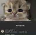 1750680617508204