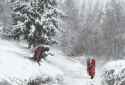 jakub-rozalski-drak-fairy-returns