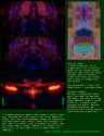 sr_schizo_theory