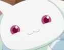 smug_kyubey