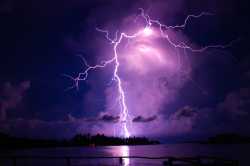 purpledawn