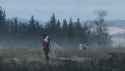 jakub-rozalski-darkfairygodmothers