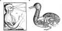 The-animal-machine-Descartes-developed-a-pneumatic-theory-of-brain-function-whereby-the