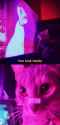 look-lonely
