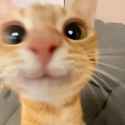 GSbxW6FWgAAQTcl