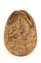 Egg-Main-Picture