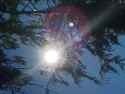IMG_20250710_162115313