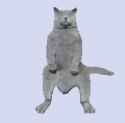 turkcat