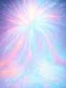 image (41)