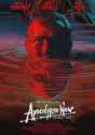 Apocalypse Now Final Cut