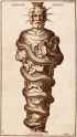 210px-0000193_serapis-soleil-2265AX_600