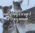 GgzHl1DW4AA3Ghq