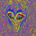 278 KB