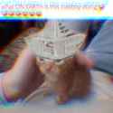 15 KB