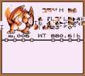 3 KB