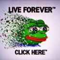 46 KB