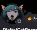 17 KB