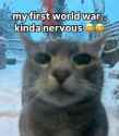 9 KB