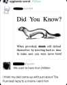 174 KB