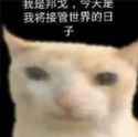 18 KB