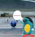497 KB