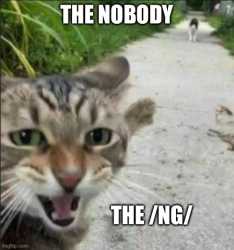 60 KB