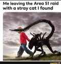 31 KB