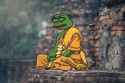 pepe_monk.png