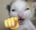 109 KB