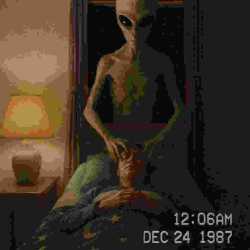 23 KB