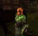 169 KB