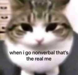 52 KB