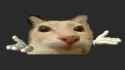 142 KB