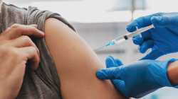 453 KB