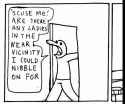 329 KB